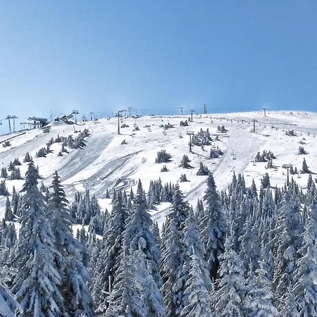 Woodside Kopaonik Aac Appartement